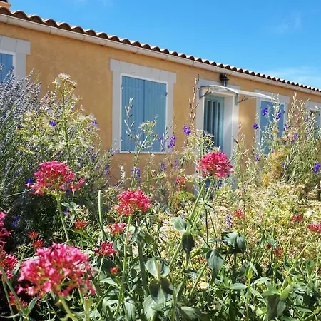 Catherine Homestay